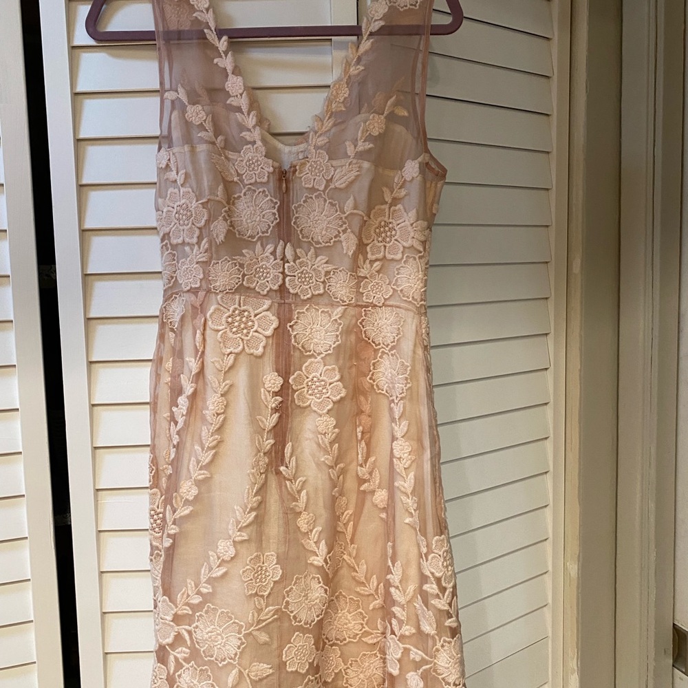 Yoana Baraschi Blush Pink Lace Dress Detail